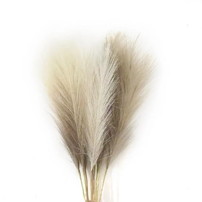 Herbes Pampas Artificielles